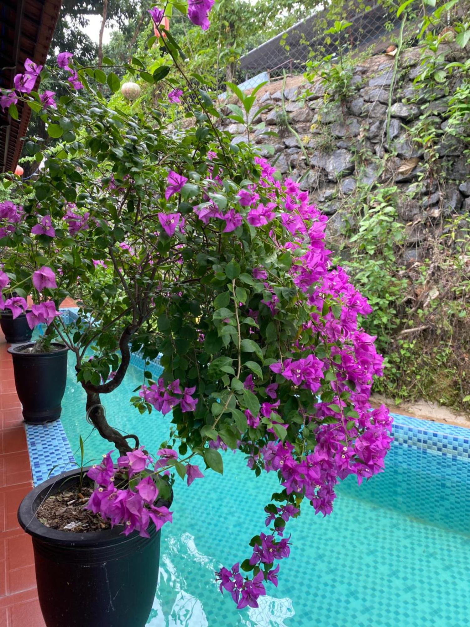 Sunshine Villa Thuy Bieu 顺化 外观 照片